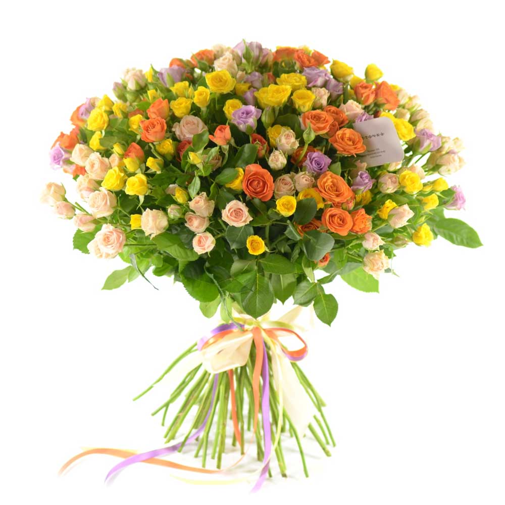 Букет из 49 разноцветных кустовых роз №228