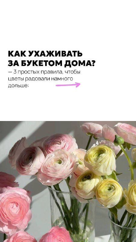 Как продлить жизнь букету и сохранить ег...