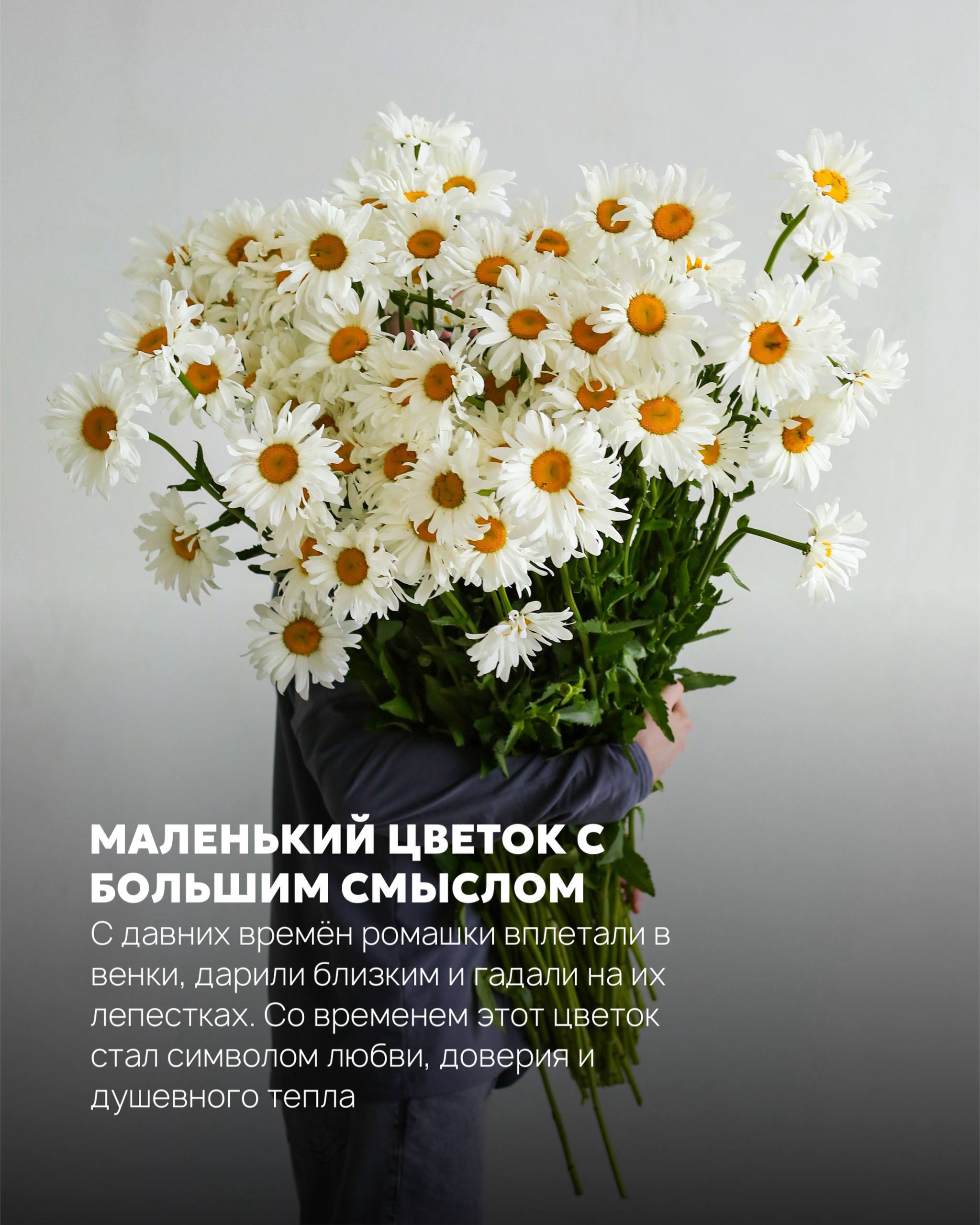 День семьи, любви и верности
