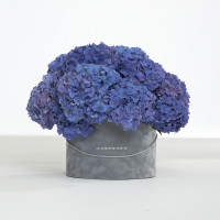 Как продлить жизнь букета: уход за цветами в коробке, реанимация и безопасная перевозка по Москве