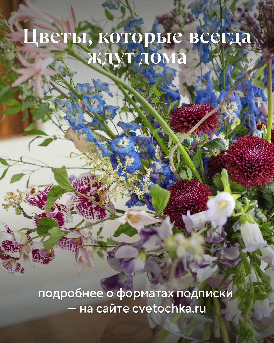 Цветочная подписка
