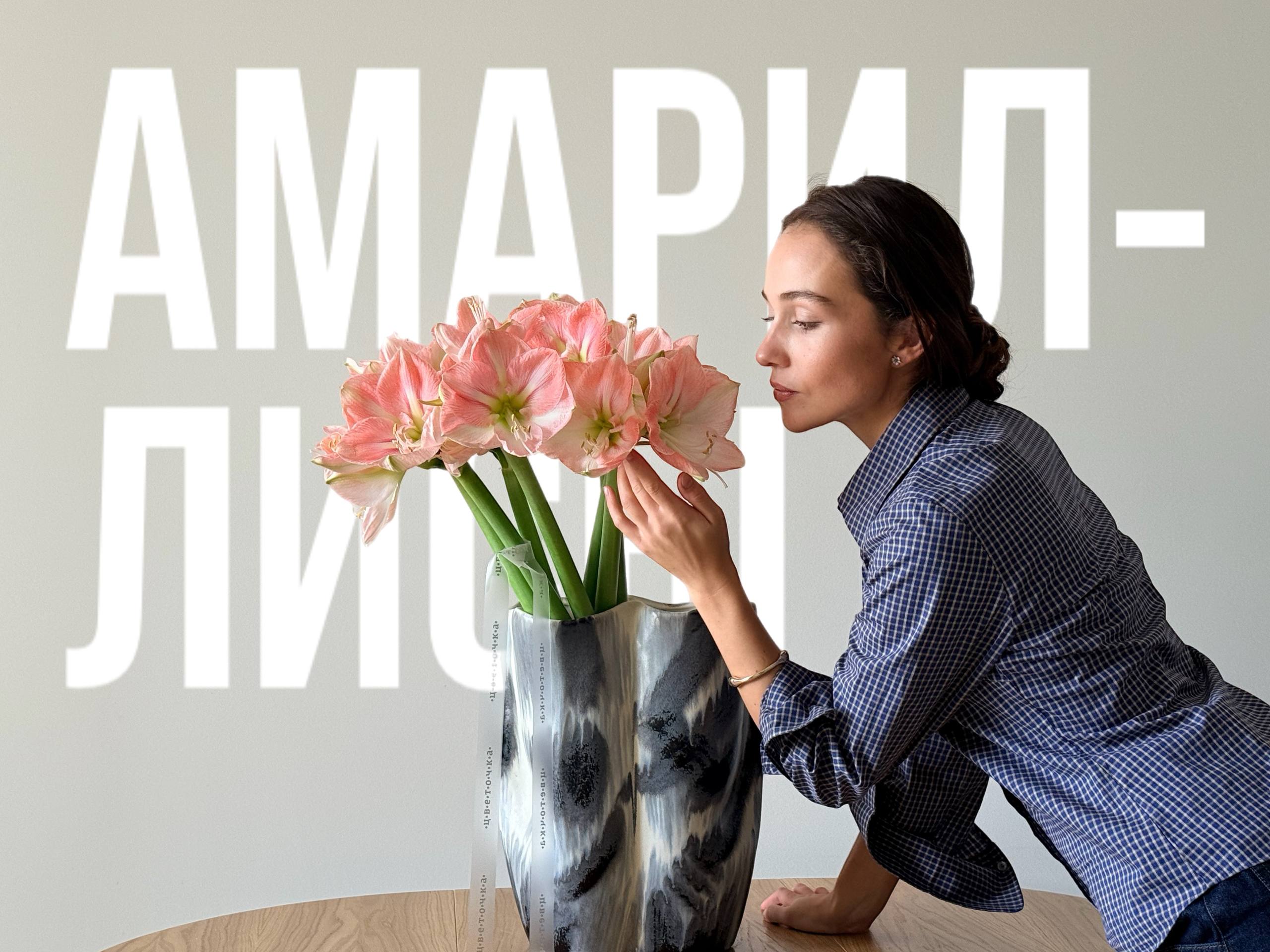 Сезон амариллисов официально открыт!