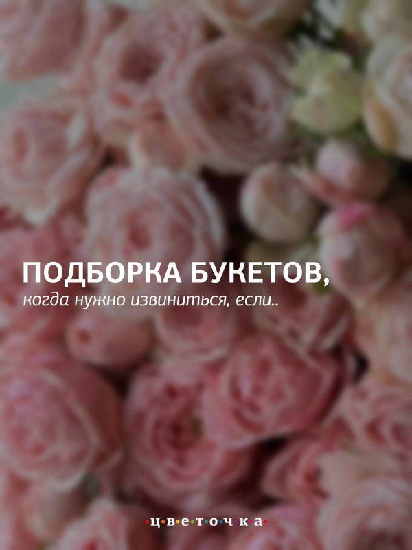 Подборка букетов, когда нужно извиниться...