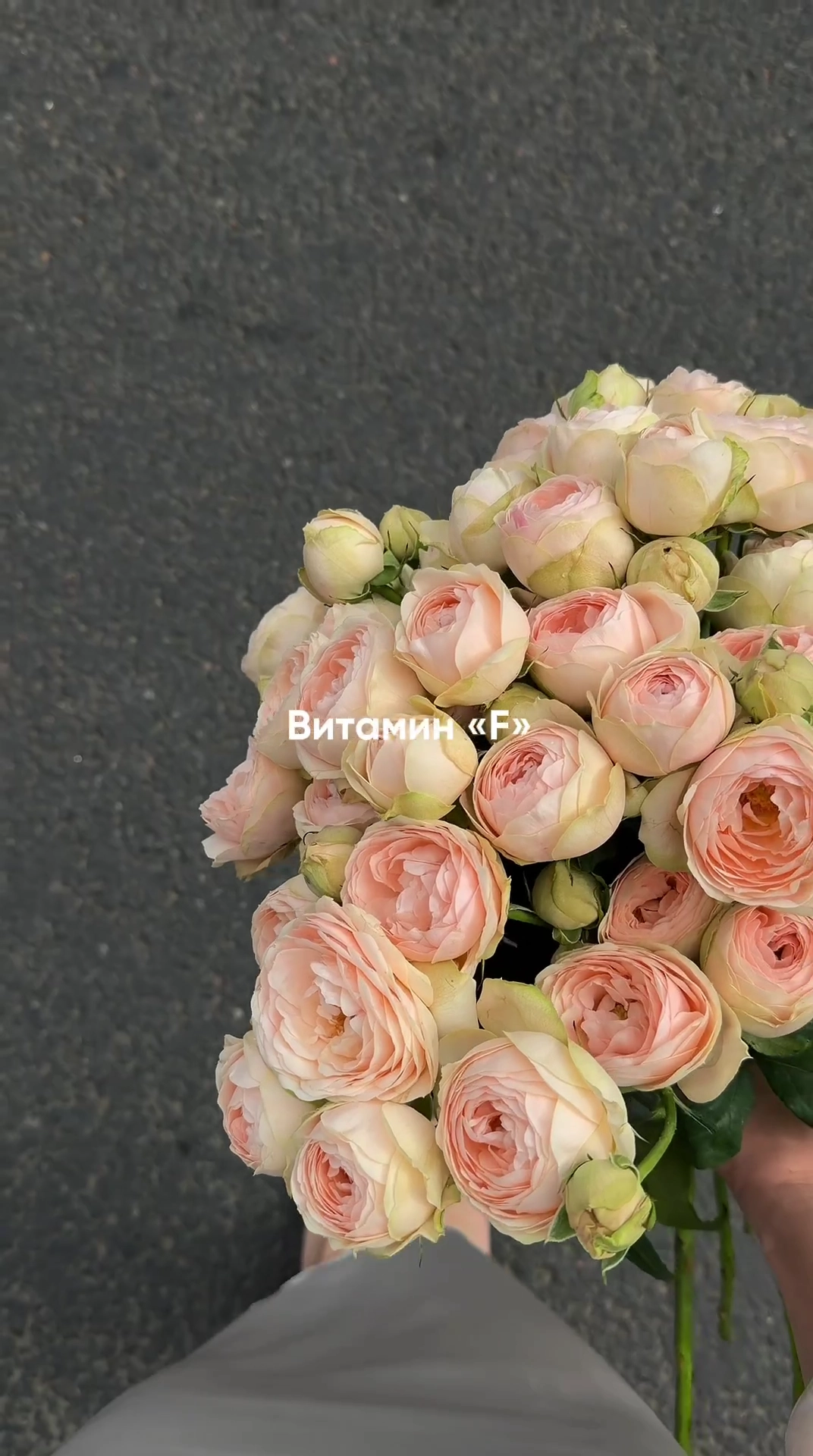 Витамин «F» — Flowers