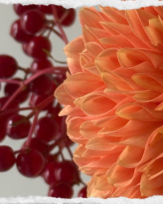 Сентябрь уже близко, а вместе с ним и Де...