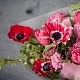 Букет из тюльпанов, анемонов, роз №1385