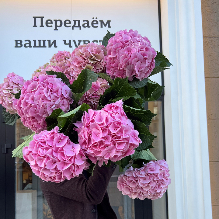 Букет из 11 розовых гортензий №1433