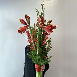 Букет из амариллисов и илекса №1738