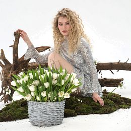 Композиция из тюльпанов, генисты №2033