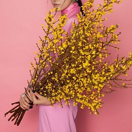 Букет из 15 форзиций №1809