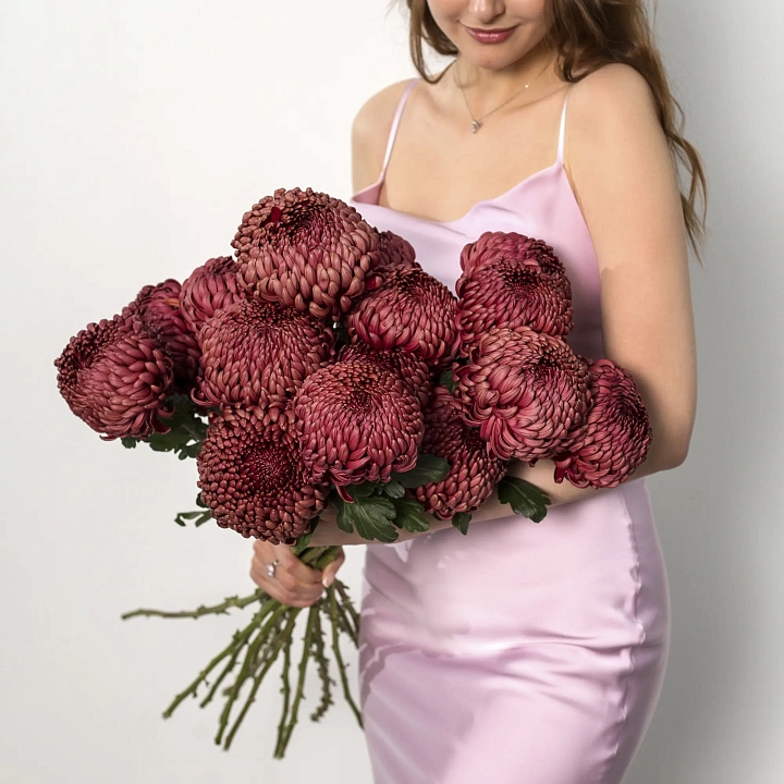 Моно букет из 15 хризантем №2248