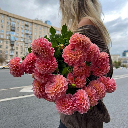 Букет из 19 георгин №850