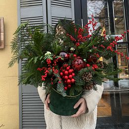 Композиция из нобилиса и илекса №1733