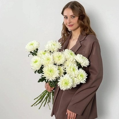 Моно букет из 15 хризантем №2247