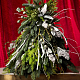 Рождественская елка из нобилиса №1509